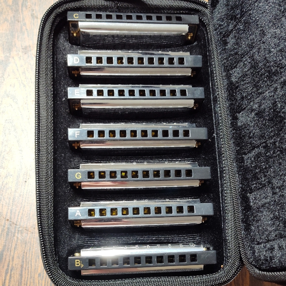 Harmonica Set with Case - Black and Silver